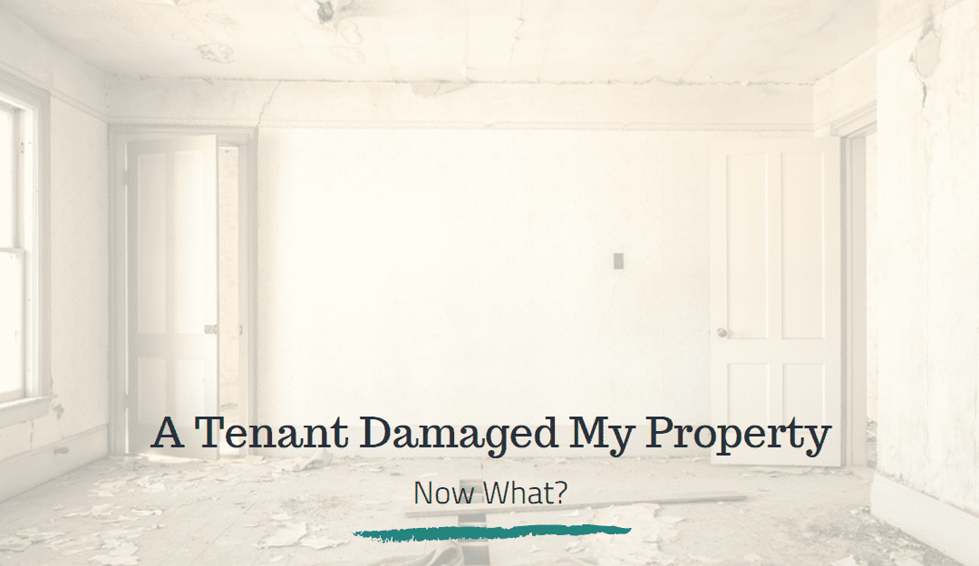 A Resident Damaged My Santa Cruz Property, Now What?